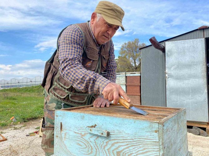 Arıcıların Kışlama Mesaisi Başladı
