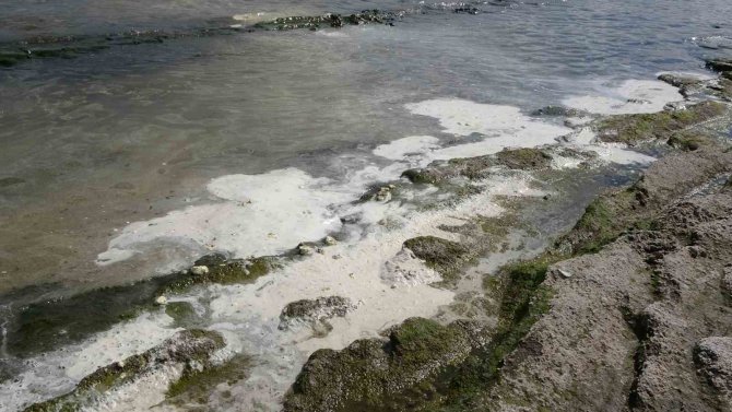 Feribottan Van Gölü’ne Düşen Vagonların İçindeki Torbalar Sahile Vurdu