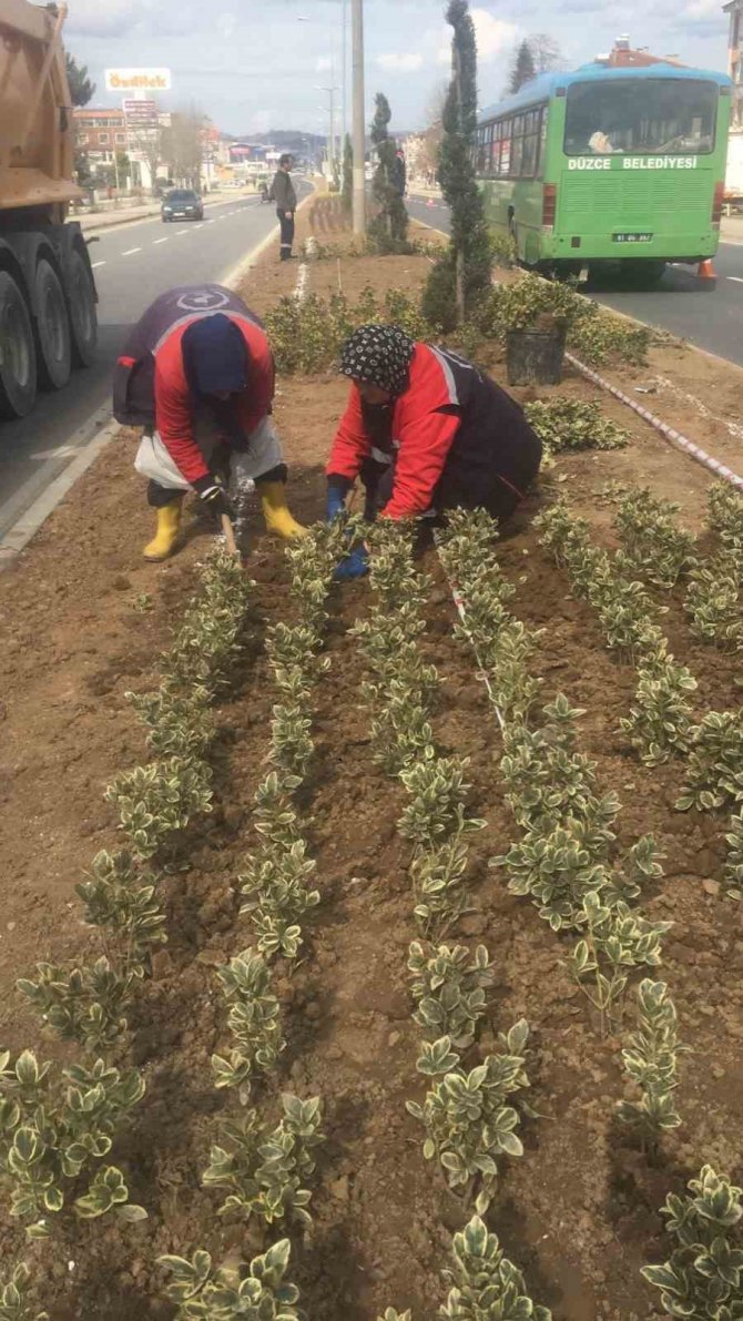 Hem Çiçeklendiriyor Hem Güzelleştiriyorlar