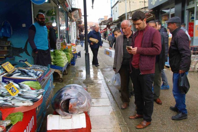 Elazığ’da 164 Kiloluk Dev Orkinosu Görenler Cep Telefonlarına Sarıldı