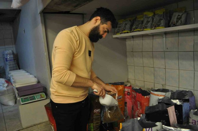 Kedi Besleyenlerin Ucuz Mamalara Talebi Arttı