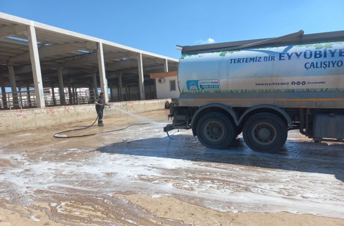 Şanlıurfa’ya Canlı Hayvan Giriş Çıkışı Yasaklandı