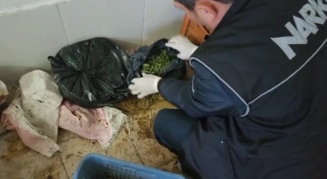 Uyuşturucu Taciri 109 Bin Lira Parayla Yakalandı