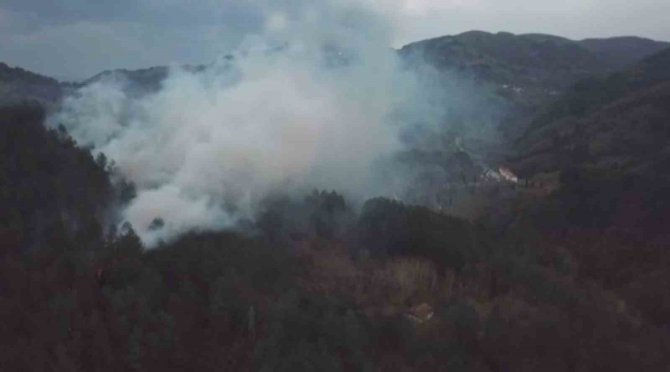 Yol Kenarına Atılan Sigara İzmariti Ormanlık Alanda Yangın Çıkardı