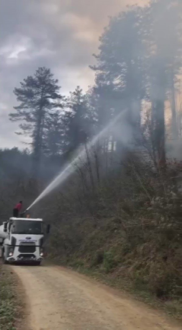 Yol Kenarına Atılan Sigara İzmariti Ormanlık Alanda Yangın Çıkardı