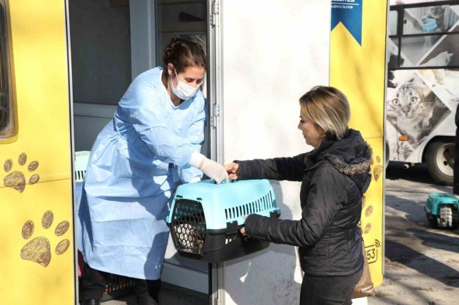 Sokak Kedilerine Kısırlaştırma Karavanı