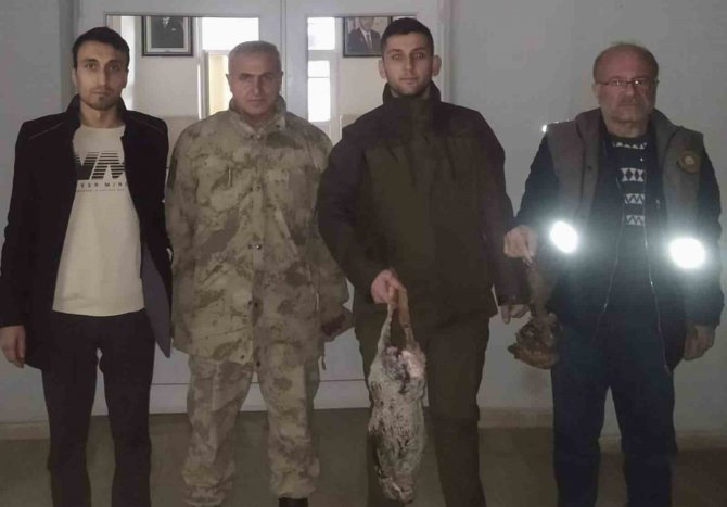 Siirt’te Kaçak Avcılara Geçit Yok
