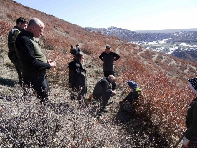 Simav’da 70 Bin Fidan Toprakla Buluşuyor