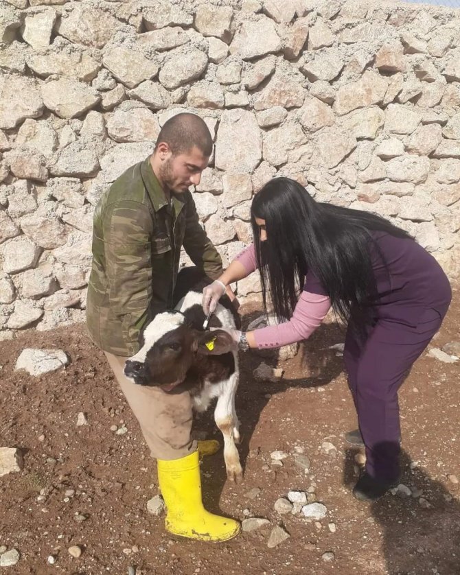 Siirt’te Hayvan Pazarı İkinci Bir Emre Kadar Kapatıldı