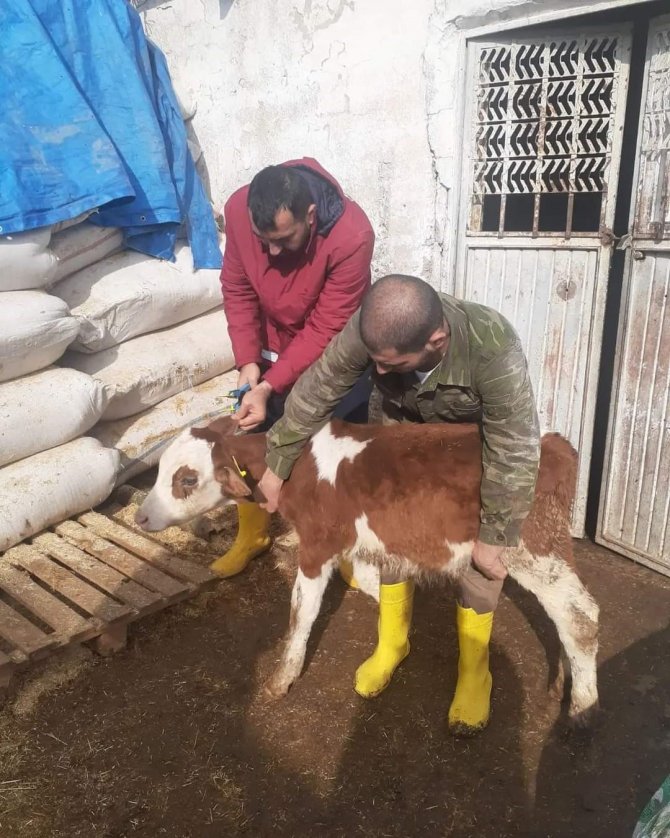 Siirt’te Hayvan Pazarı İkinci Bir Emre Kadar Kapatıldı