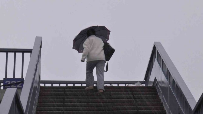 İ̇stanbul’da Etkili Olan Şiddetli Rüzgar Ağaçları Devirdi