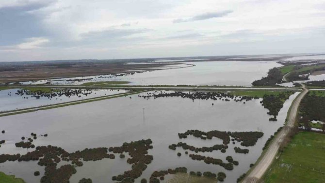 Kızılırmak Deltası Eski Sulak Haline Döndü