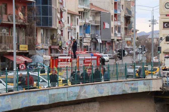 Oltu Çayı’nda Köpek Kurtarma Operasyonu