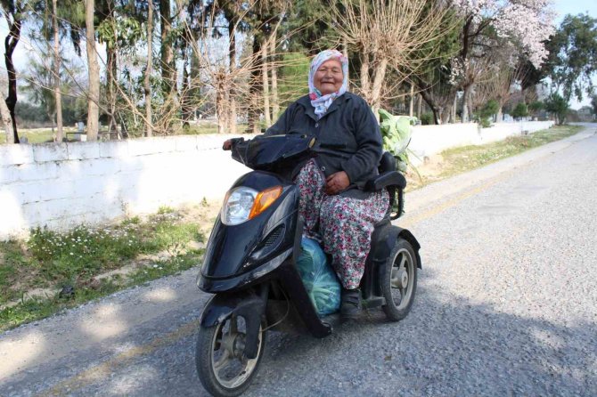 Ayşe Nine Üreterek Genç Kalıyor