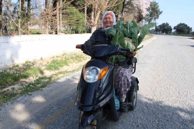 Ayşe Nine Üreterek Genç Kalıyor