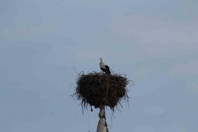 Önce Kazazede, Sonra Depremzede Oldu: "Yuvası Sapasağlam"