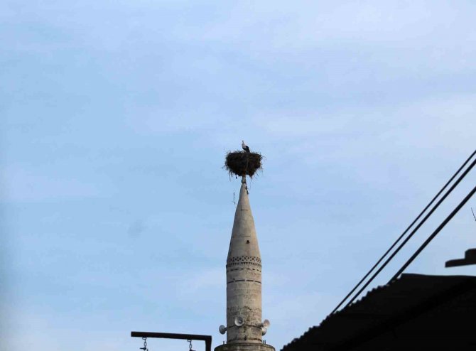 Önce Kazazede, Sonra Depremzede Oldu: "Yuvası Sapasağlam"