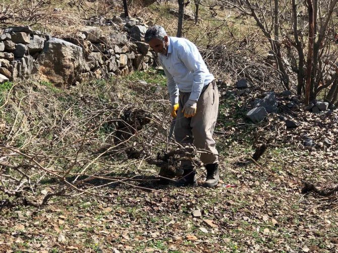 Beytüşşebap’ta Üzüm Bağlarında Budama İşleri Başladı