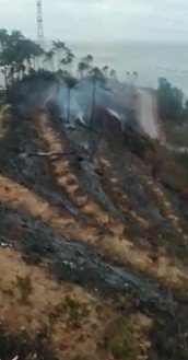 6 Yıl Önce Çıkan Yangın Sonrası Dikilen Sarıçamlar Yeniden Alevlere Teslim Oldu
