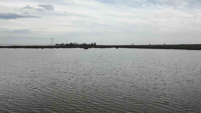 Kızılırmak Deltası Eski Sulak Haline Döndü