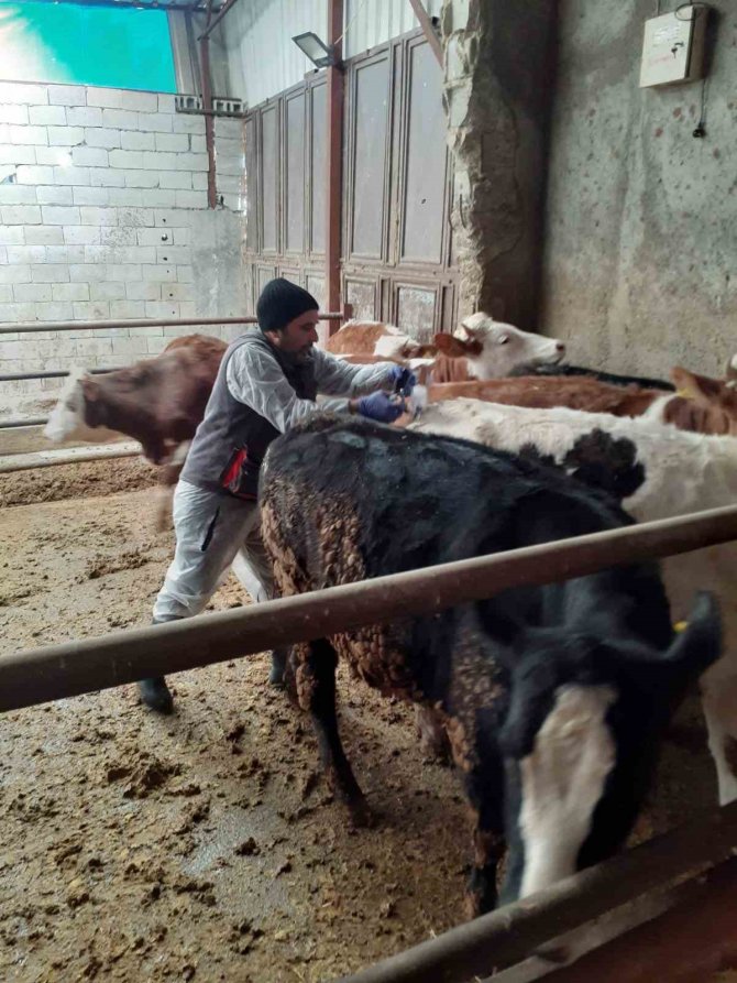 Aydın İ̇l Tarım Ekipleri Deprem Bölgesindeki Çalışmalarını Sürdürüyor