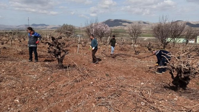 Bayburt’ta Bahçelerde Bahar Temizliği