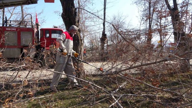 Tatvan’da Park Ve Bahçelerde Bahar Temizliği