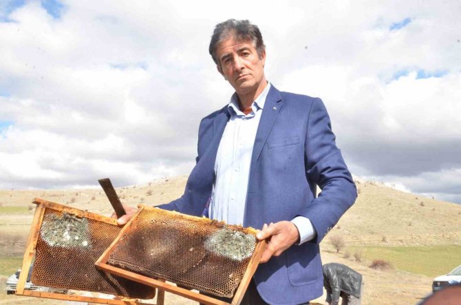 Deprem Nedeniyle Yüzlerce Kovandaki Milyonlarca Arı Telef Oldu