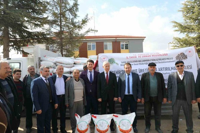 Alpu’da Nohut Üreticilerine Yüzde 50 Hibeli Tohum Desteği