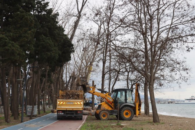 Yalova’da Fırtınada Zarar Gören Ağaçların Yerinde Yeni Fidanlar Yeşerecek