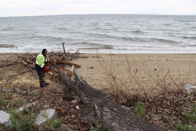 Yalova’da Fırtınada Zarar Gören Ağaçların Yerinde Yeni Fidanlar Yeşerecek