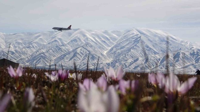 Yüksekova’da Baharın Müjdeleyicisi Kardelenler Çiçek Açtı