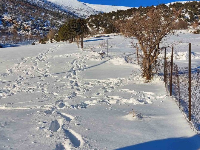 Doç. Dr. Sançar, Yedisu, Malatya, Ovacık Ve Nazımiye Faylarına Dikkat Çekti