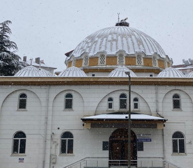 Yuvalarına Gelmeye Başlayan Leyleklere Kar Sürprizi