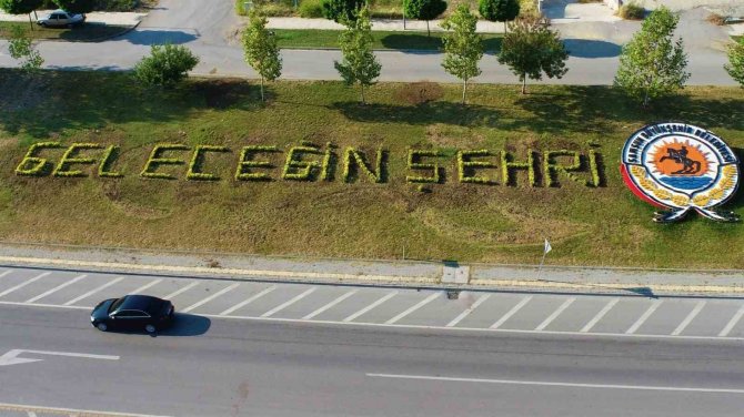 Samsun’a 675 Bin Çiçek Dikilecek