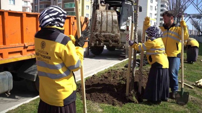 Samsun’a 675 Bin Çiçek Dikilecek