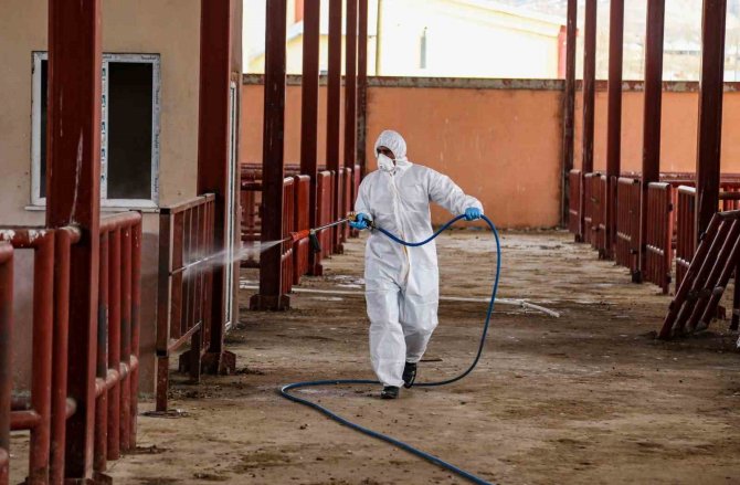 Şap Hastalığına Karşı İlaçlama Çalışması