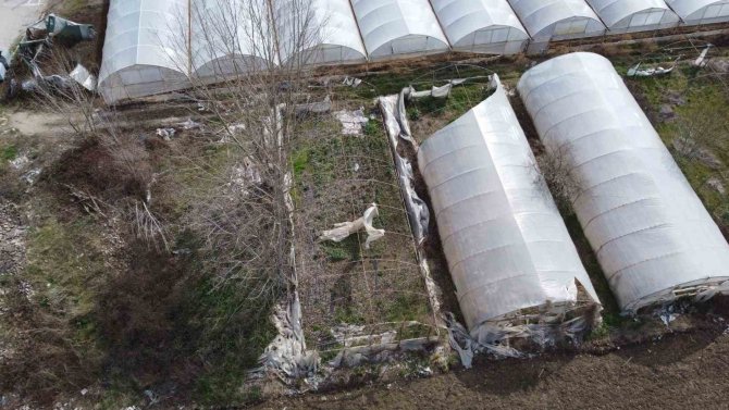 Yalova’da Yenilenecek Eski Seraların Kontrolleri Devam Ediyor