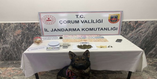Jandarmadan Uyuşturucu Operasyonu