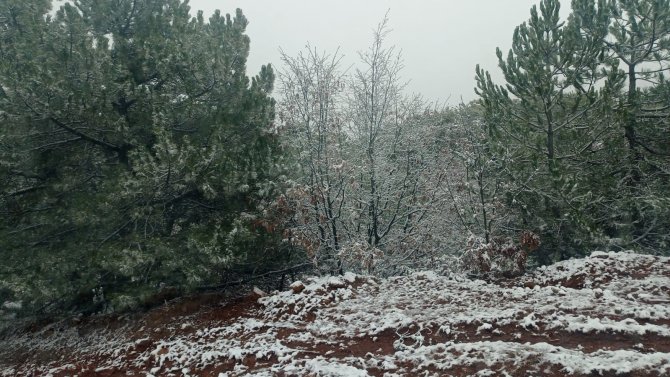 Beyaz Örtüyle Kaplanan Mahallede Kartpostallık Görüntüler Oluştu