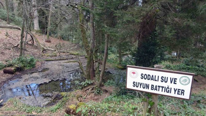 Giresun’un Yeni Turizm Cazibe Merkezlerinin Sezonu Erken Açması Bekleniyor