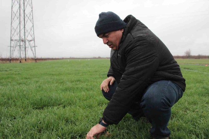 Karaman’da Yağmur Yağışı Üreticiyi Sevindirdi