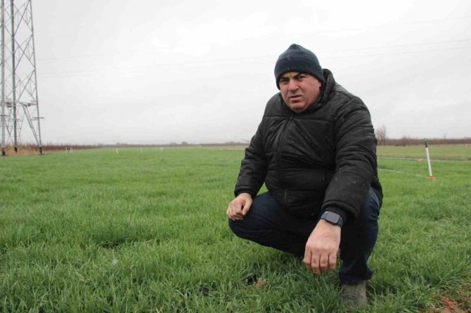 Karaman’da Yağmur Yağışı Üreticiyi Sevindirdi