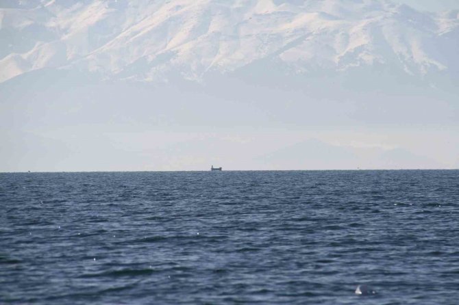 Dağlarda Beyaz Bereket