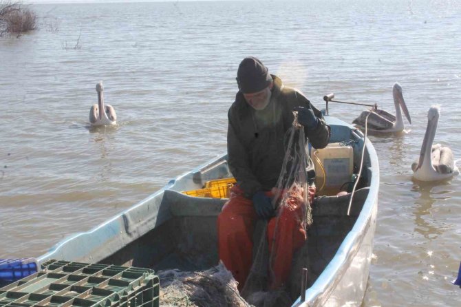 Manyas Gölü’nde Balık Avı Yasağı Yarın Başlıyor