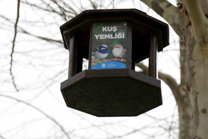 Büyükşehir’in Kuş Yemlikleri Yürekleri Isıttı