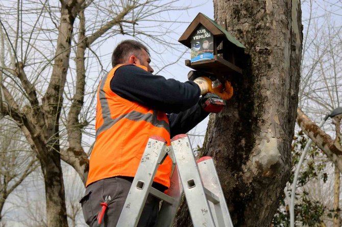 Büyükşehir’in Kuş Yemlikleri Yürekleri Isıttı