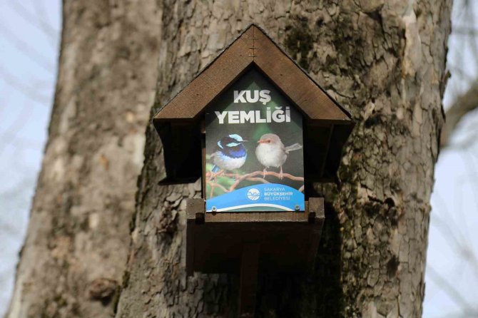 Büyükşehir’in Kuş Yemlikleri Yürekleri Isıttı