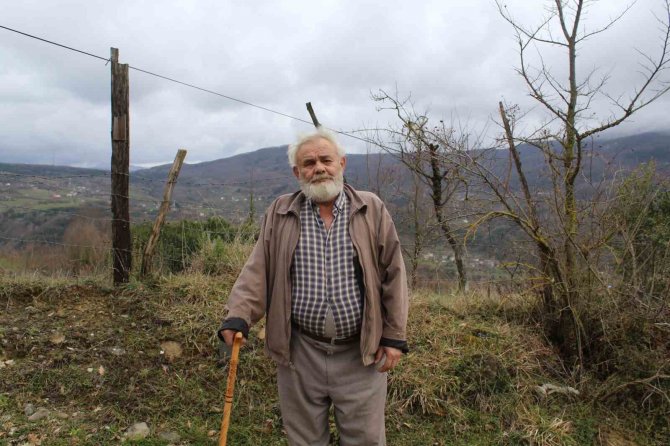 Derme Çatma Barakada Yaşam Mücadelesi Veriyor