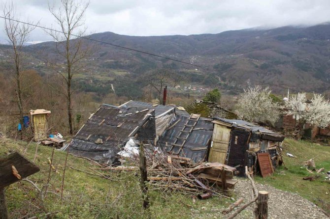 Derme Çatma Barakada Yaşam Mücadelesi Veriyor